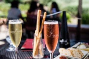 U17世界杯几年一次，一场为未来足球家搭建平台的青少年赛事u17世界杯几年一次